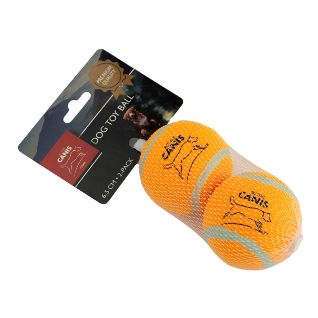 Canis Tennispallo 2-pack Active