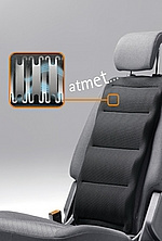 Selkänojan Tyyny Froli