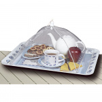 Hyönteisverkko Ruoalle