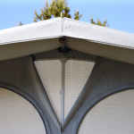 Isabella Commodore Dawn