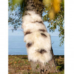 Lampaannahka Molly 180x60cm Royal Camping