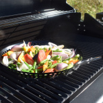 Sunwind Kasviskori Kaasugrilli Disalle