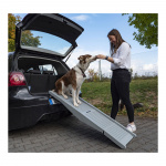 Camp4 Koiraramppi Emma