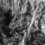 Royal Camping Peite Amalia Harmaa 130x170 cm