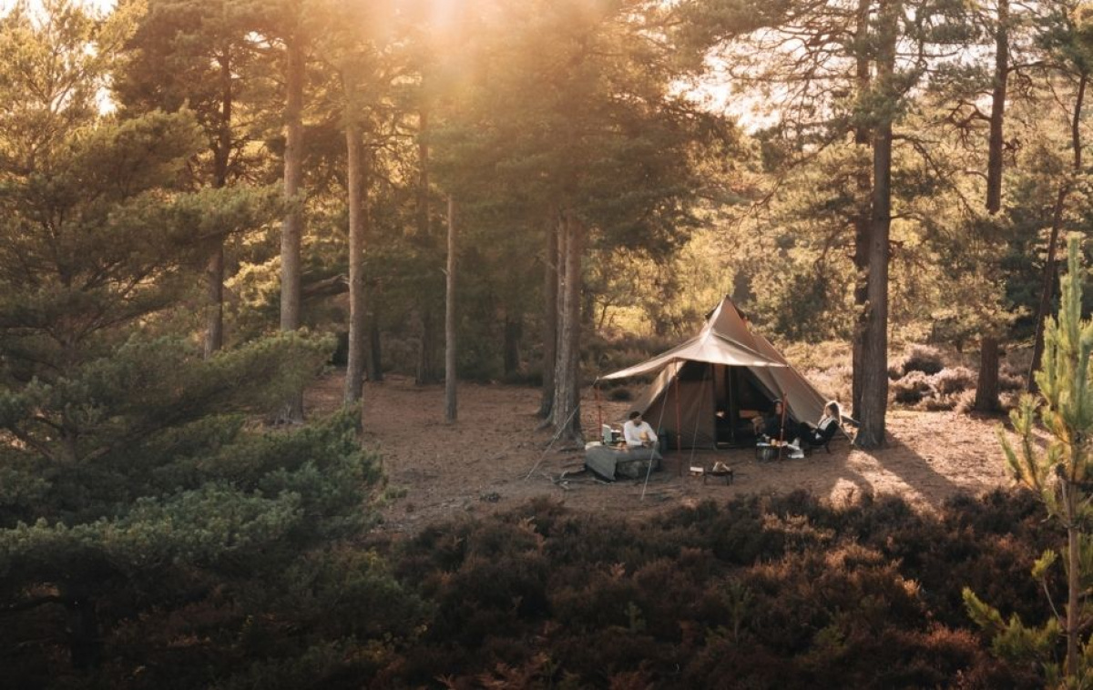 Kampa Pineveil 04 ryhmässä Outdoor / Retkeily Teltat @ Campmarket (82932)