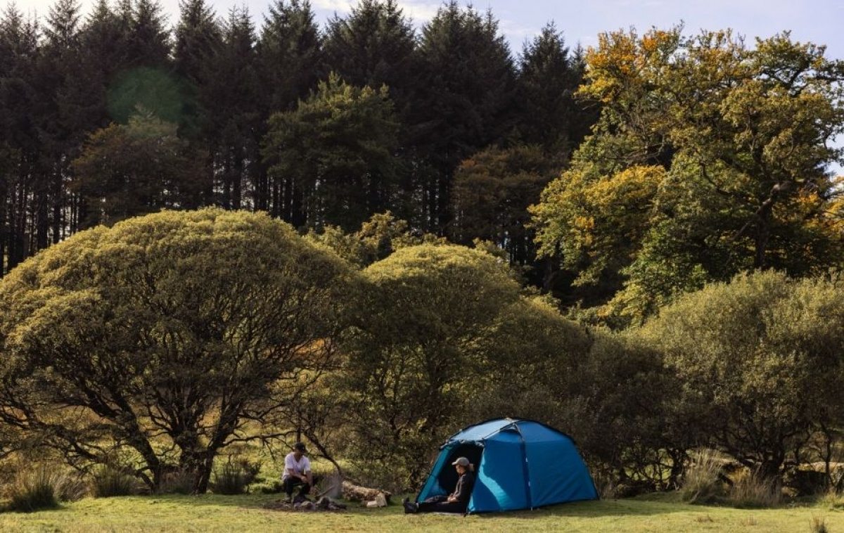 Kampa Mossborn 03 Aegean ryhmässä Outdoor / Retkeily Teltat @ Campmarket (82942)