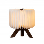 Pöytälamppu R-Shapelamp